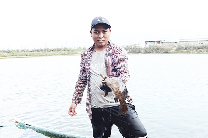 giải cứu cá mú